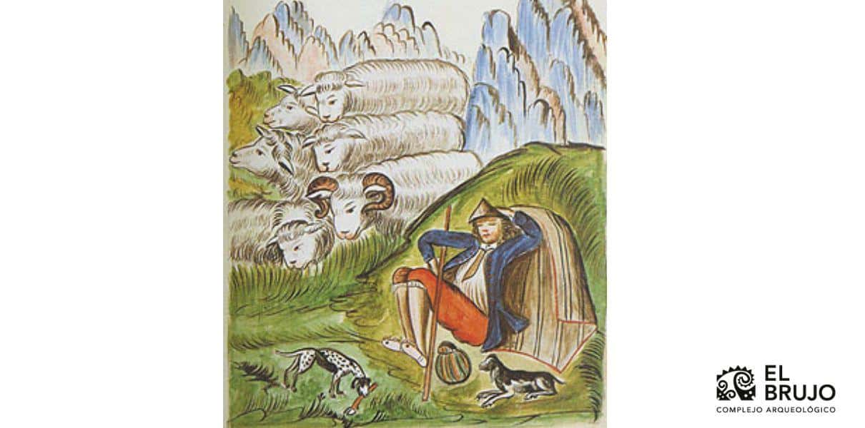 indigena pastoreando ovejas